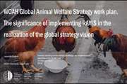 برگزاری وبینار “ افزایش دانش و ظرفیت های پیاده سازی رفاه حیوانات در منطقه آسیای میانه”