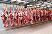 تأمین مولدهای برق اضطراری در مراکز عمده نگهداری، بسته بندی و فرآوری گوشت ضروری است