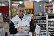 انجام بیش از 250 هزار مورد بازرسی بهداشتی دامپزشکی در طرح تشدید نظارت‌های ویژه نوروز و ماه مبارک رمضان در سطح کشور