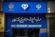بیانیه سازمان دامپزشکی کشور: تأکید بر اهمیت امنیت غذایی، حفاظت از سرمایه دامی و سلامت جامعه