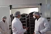 مدیر کل دامپزشکی سیستان و بلوچستان از مراکز بسته بندی ماهی و میگو در طرح تشدید کنترل و نظارت بهداشتی بر فرآورده های خام دامی ویژه تعطیلات نوروزی شهرستان چابهار بازدید کرد.