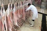 نظارت بازرسین بهداشتی بر استحصال بیش از 6 هزار تن گوشت قرمز و 55 هزار تن گوشت سفید در 12ماهه سال 96 در کشتارگاه‌های دام استان آذربایجان غربی 