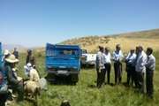 بازدید معاون توسعه مدیریت  و سرمایه انسانی سازمان برنامه ریزی آذربایجان غربی از اجرای عملیات و اکسیناسیون و سم پاشی بدن دامها در مناطق عشایری 