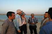 بازدید مدیر کل دفتر بهداشت و مدیریت بیماری های آبزیان از مزارع میگو چوئبده آبادان