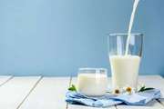 میزان آفلاتوکسین در شیر تولیدی استان پایین‌تر از حد مجاز است