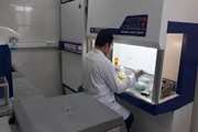 راه اندازی مجدد آزمایشگاه PCR اداره کل دامپزشکی کردستان 