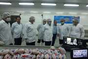 تولید و عرضه گوشت مرغ رتبه‌بندی شده در استان مرکزی آغاز شد