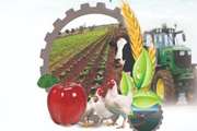 همایش ملی کشاورزی و رونق تولید