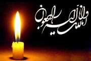تسلیت به همکار محترم آقای دکتر شاهرخی