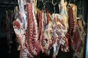 نگهداری لاشه در سردخانه ویروس کریمه کنگو را از بین می‌برد
