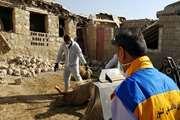 جزئیات اقدامات سازمان دامپزشکی کشور در زلزله کرمانشاه