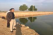 بازدید مدیر کل دامپزشکی خوزستان از مجتمع پرورش ماهی آزادگان