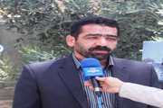 تلف شدن اخیر میگوها ربطی به بیماری لکه سفید نداشته است