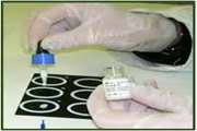 بررسی عملکرد بخش خصوصی دامپزشکی در واکسیناسیون بروسلوز دام های سبک نابالغ (Fd rev1) در جنوب کرمان
