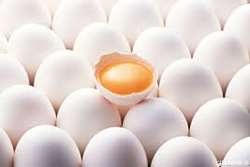 عرضه تخم مرغ خارج از یخچال ممنوع است/روش شناسایی تخم مرغ تازه و کهنه