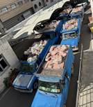 کشف و توقیف ۸ تن فرآورده خام دامی غیرقابل مصرف در اطراف تبریز