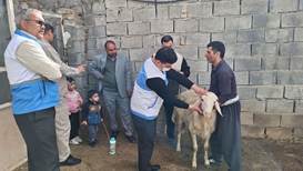 برگزاری اردوی جهادی دامپزشکی در روستای جهادآباد شهرستان دره‌شهر