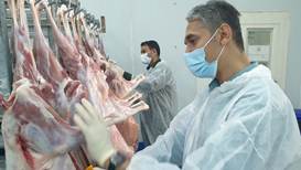 اجرای قاطع ساماندهی کشتار دام در استان بوشهر 