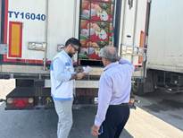 صادرات بیش از 300 تن تخم‌مرغ خوراکی از بندر دیر به قطر