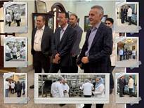 نظارت تخصصی بر صنایع لبنی، کلید طلایی ورود به بازارهای جهانی است / بازدید میدانی معاون وزیر از خط تولید صادراتی کارخانه «شکلی»