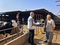 بازدید میدانی رئیس شبکه دامپزشکی مه ولات از عملکرد اکیپ های عملیاتی بخش غیر دولتی