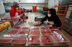 افزایش نظارت بر مراکز عرضه فرآورده‌های دامی در زنجان