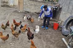 خدمت در صف اول؛ گشودن درهای خدمت و بال گشودن بالندگی روستایی