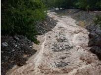 هشدار دامپزشکی به دامداران در پی پیش‌بینی بارندگی‌های شدید و خطر بروز خسارت در شهرستان رابر