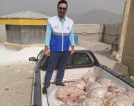 کشف و امحای بیش از ۳۵۰ کیلوگرم گوشت مرغ و آلایش غیرقابل مصرف در کرمانشاه 