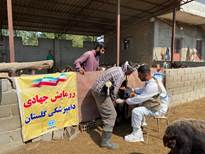 ارتقای سطح ایمنی و صیانت از سرمایه‌های دامی در روستای دنگلان با برگزاری اردوی جهادی دامپزشکی کردکوی