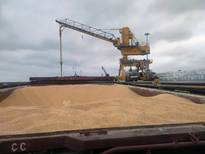  مازندران 25 درصد نهاده جو و ذرت کشور را تأمین می‌کند