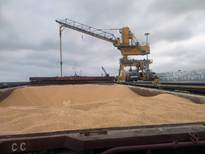 تاکید مدیرکل دامپزشکی مازندران؛ ترخیص نهاده های دامی بدون هیچ خللی از سه بندر اصلی استان