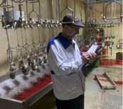 ممیزی واحدهای تحت نظارت دامپزشکی