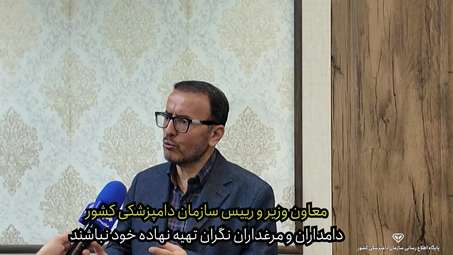 مرغداران و دامدارن نگران تهیه نهاده خود نباشند