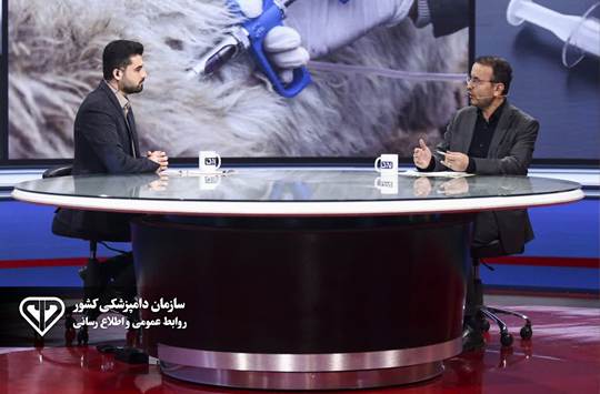 گفت‌وگوی معاون وزیر و رییس سازمان دامپزشکی کشور با برنامه «تیتر یک» / تشریح آخرین وضعیت تب‌برفکی، واکسن و کنترل بیماری‌های دامی