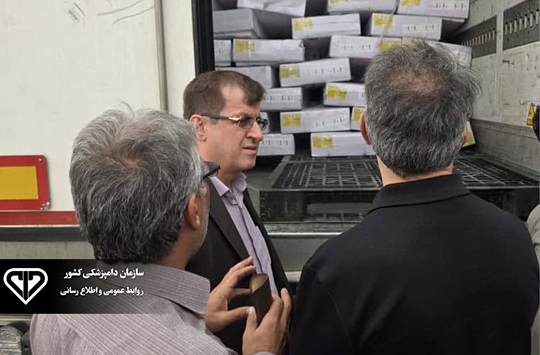بازدید میدانی معاون بهداشتی و پیشگیری سازمان دامپزشکی کشور از زیرساخت‌های قرنطینه‌ای و تأمین گوشت در جنوب سیستان و بلوچستان