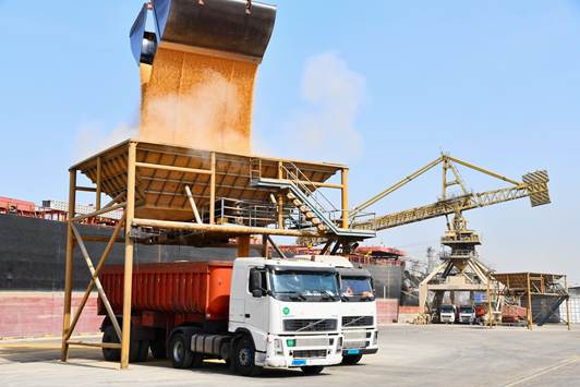 معاون بهداشتی و پیشگیری سازمان دامپزشکی کشور: نظارت دامپزشکی بر واردات نهاده‌های دامی بخشی از سیاست حاکمیتی امنیت غذایی کشور است