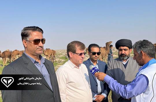 آغاز طرح واکسیناسیون رایگان آنتروتوکسمی شتر در دشت جازموریان جنوب کرمان همزمان با دهه فجر