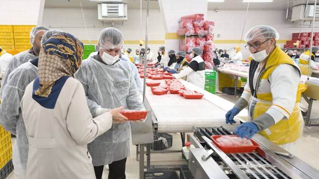 الزامات قانونی برنامه هفتم پیشرفت در خصوص بسته‌بندی و ردیابی فرآورده‌های دامی؛ تأکید سازمان دامپزشکی کشور بر رعایت الزامات بهداشتی در زنجیره تولید تا عرضه فرآورده‌های دامی