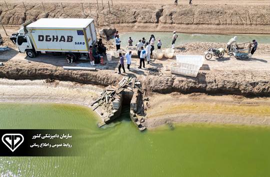 جهش ۳۷ درصدی تولید میگوی پرورشی کشور در سال ۱۴۰۴ با اقدامات هدفمند سازمان دامپزشکی کشور