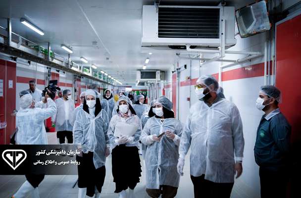 حضور اصحاب رسانه در مجتمع صنایع غذایی مهیا پروتئین با تأکید بر نقش دامپزشکی در پایداری تولید پروتئین کشور